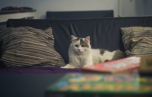 Антикафе "Коперник" Зал. Неоновая подсветка, диваны