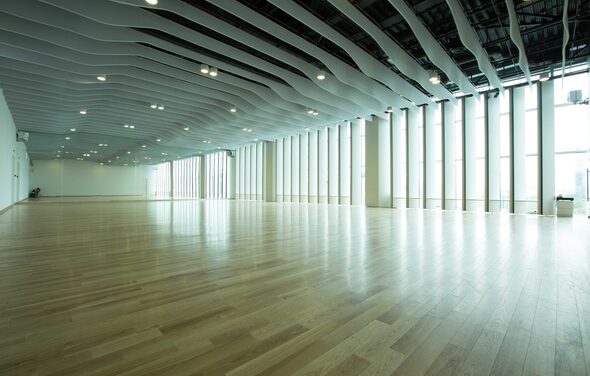 Танцевальная студия «Tdancestudio» Светлый панорамный зал