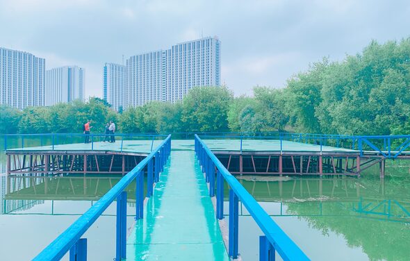 Vernissage Сцена на воде