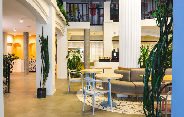 Двухуровневый лофт с живыми растениями