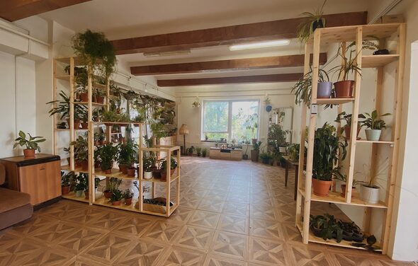 Светлый лофт в кантри стиле