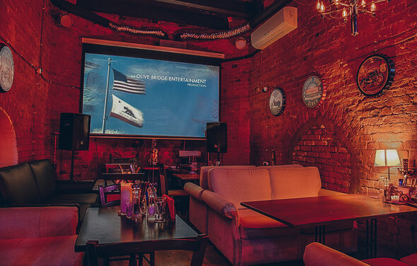 Кирпичный лофт с экраном во всю стену