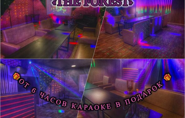 Forest(Лес). Караоке-пространство с диванами вдоль стен, темные деревянные столы, стены из кирпича и дерева с декоративным освещением. Цветные огни создают атмосферу. Текст: «THE FOREST», «от 6 часов караоке в подарок». Светодиодные гирлянды.