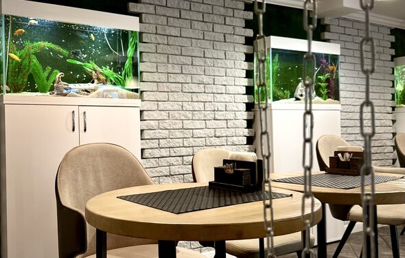 ДеловРаке Светлый бар под закрытие