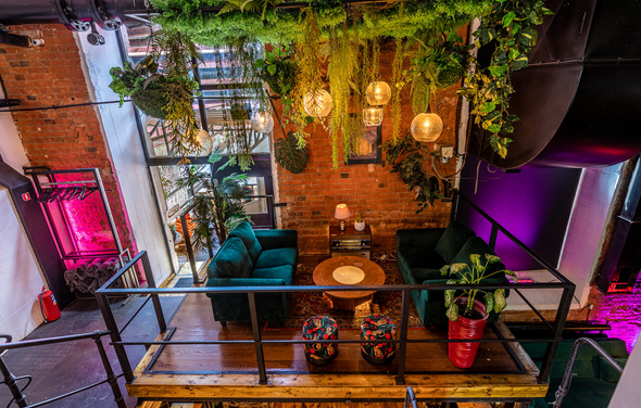 Лофт Плантация. Plant House