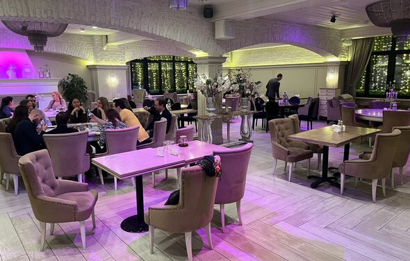 Верба Уютное светлое пространство