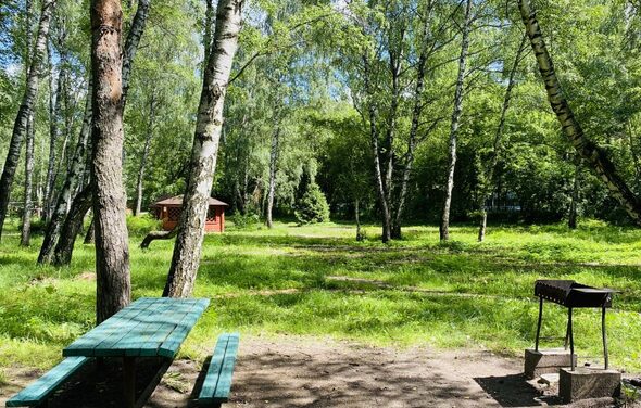 Мангальная зона / барбекю на территории лечебно-оздоровитель