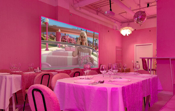 Barbie. Розовый лофт с диско-шаром, фотозоной и караоке