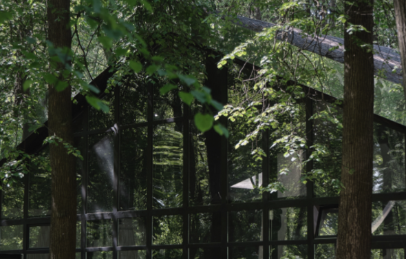 Les Event House. Банкетный зал в загородном пространстве