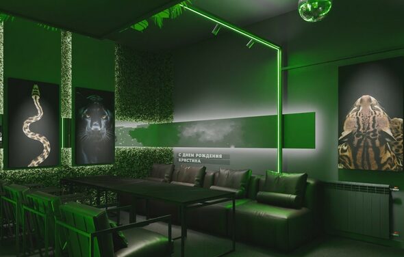 Лофт с элементами тропической природы с верандой на крыше