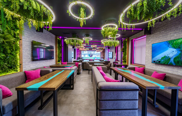 Мятный Енот