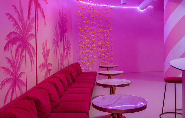 Фламинго. Розовый лофт-зал для мероприятий