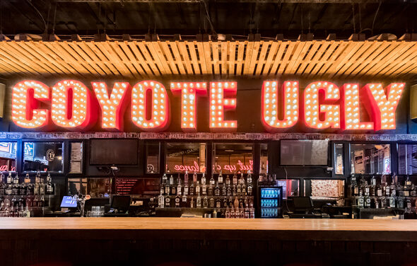 Coyote Ugly Bar. Аутентичный бар для мероприятий