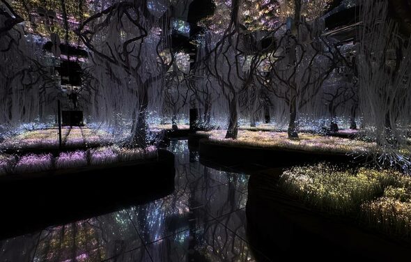 Futurione(Футурио́не). Лесная инсталляция с фантастическими деревьями и светящимися цветами. Тёмный интерьер с зеркальным полом отражает разноцветные огни. Светодиодное освещение создает волшебную атмосферу, сплетения ветвей формируют перекрытия.