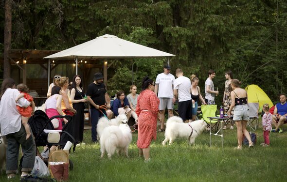 Белый Пёс(WHITE DOG event). Открытое пространство на лужайке, группа людей, белая палатка, стол и стулья, коляски, собаки. Зеленая трава, деревья на заднем плане. Яркие цвета одежды, желтая палатка слева.