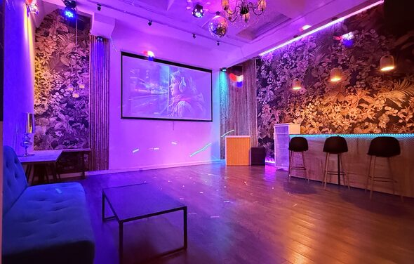 Barshowplace (БарШоуПлейс). Лофт для вечеринок с коктейльным баром . Просторное помещение с деревянным полом, стена с цветочным узором, барная стойка с тремя стульями, мягкий диван, кофейный столик. Потолочные светильники, декоративное освещение разноцветными лампочками, проекционный экран с изображением.