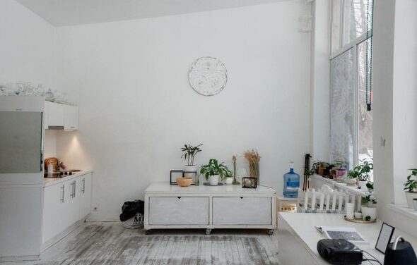 Белый лофт в Сокольниках для детских мероприятий