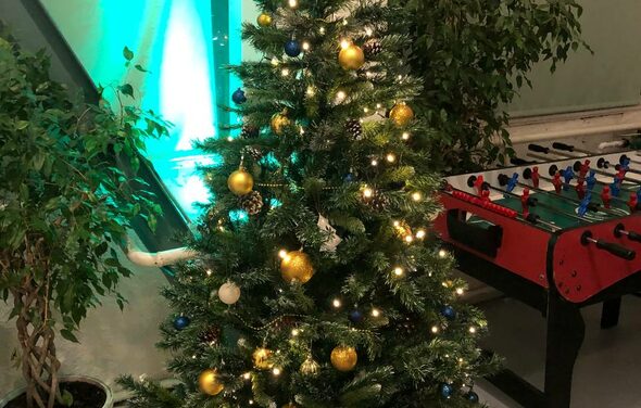 Work Shop Loft. Зал 2 с верандой