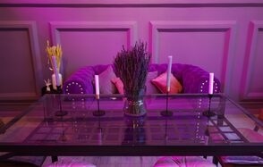 Лофт в лавандовом цвете 