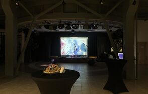 Просторное лофт пространство