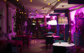 Индийский лофт-сад с тропическими растениями