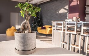 DDMP Event. Атмосферное пространство 