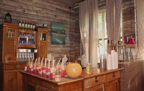 загородный клуб "Партизан" в лесу под Истрой