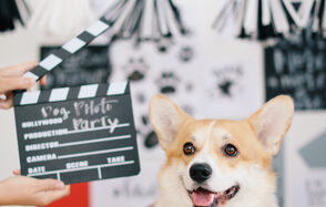 Cloud Nine. Арт-пространство на мансардном этаже