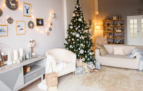 Фотостудия Эффект Бабочки Светлый зал с большими окнами 