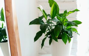  Креативный дом От ума. Студия Мастерская