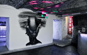 Лофт с барной стойкой