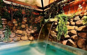 Лофт с аквазоной