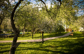 Apple Hill. Яблоневый сад 