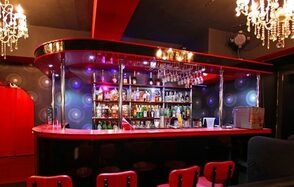 Лофт с сауной и барной стойкой