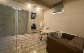 Лофт-пространство с живыми хамелеонами