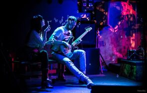 Лофт с барной стойкой