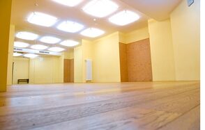 Торговый центр «Неглинная галерея»