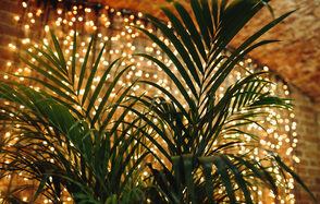 Арт-лофт с кирпичными сводами +78126037699.