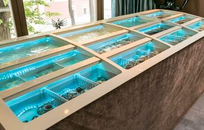 Ресторан-бар Светлый