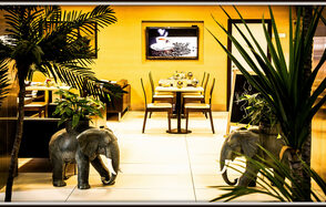 Бар с зелеными растениями