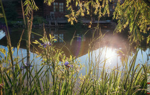 Мини-отель "Таёжный"