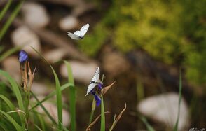 Мини-отель "Таёжный"