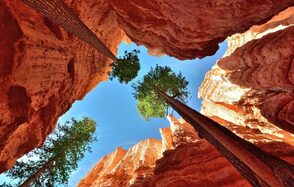 Лофт в башне НЕ НАСТОЯЩИЙ! ТОЛЬКО ДЛЯ ТЕСТОВ 