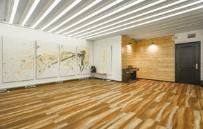 Gold&Dance Дизайнерский лофт в центре Москвы