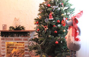 Garden loft. Стильное лофт-пространство