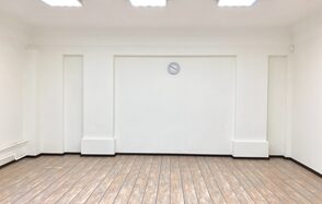 Просторный лофт в центре города