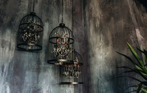 A sophisticated room for photo shoots and parties