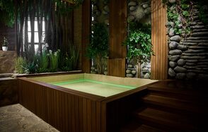 Полигон. Бали  Тропический зал