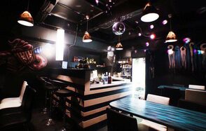 Универсальный лофт с зеркальной стеной