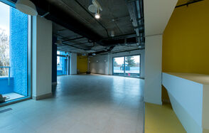 Техноград Просторное помещение с летней террасой и балконами